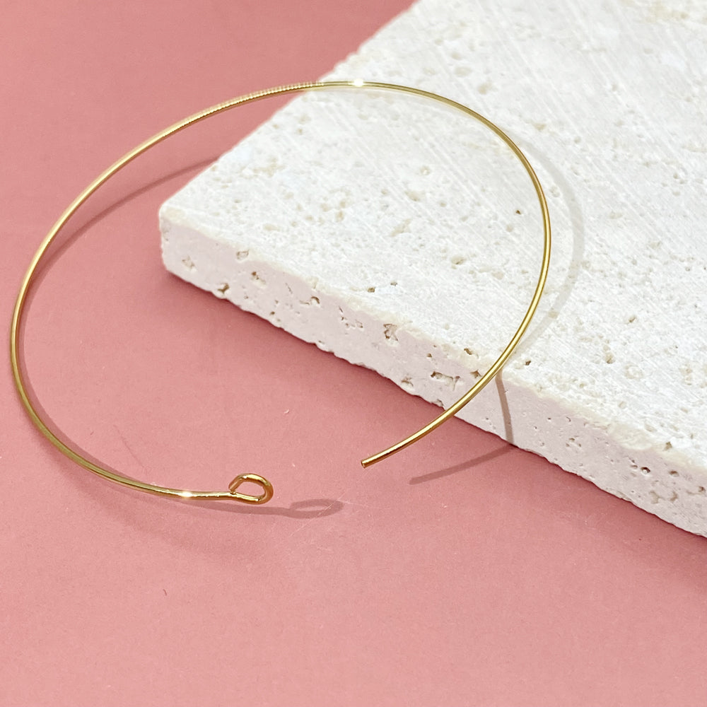 Earring hoop