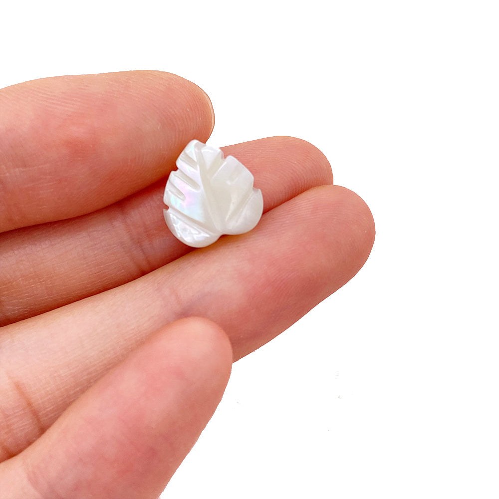 5 pcs/pack Leaf shell charm