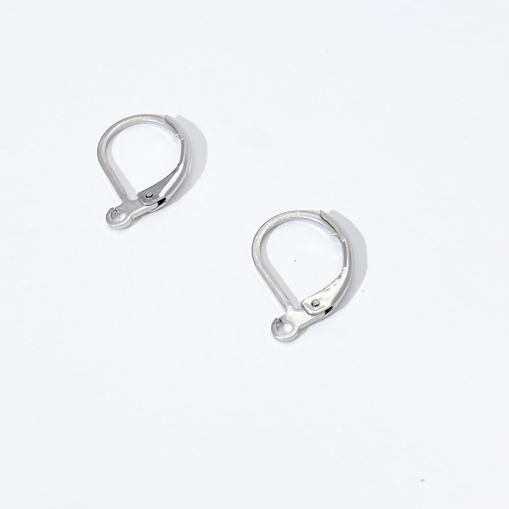 5 Pairs D ear hook Stainless steel