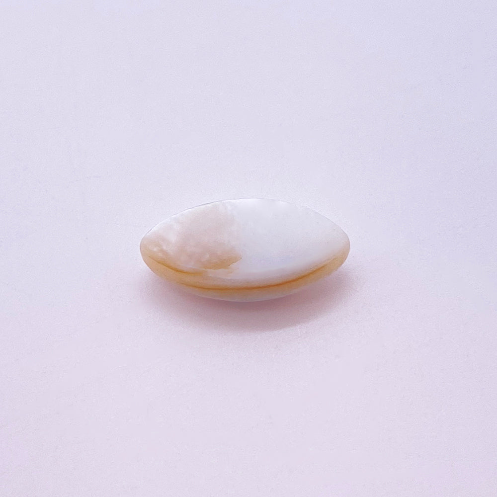 Evil eye shell charm