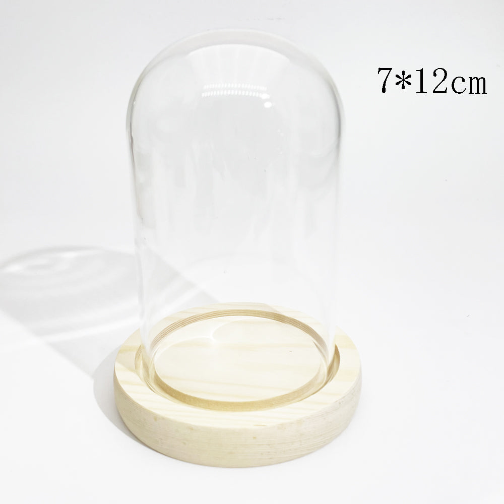 Glass dome cover with wood base for chips tree display