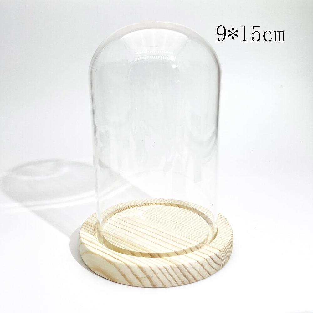 Glass dome cover with wood base for chips tree display