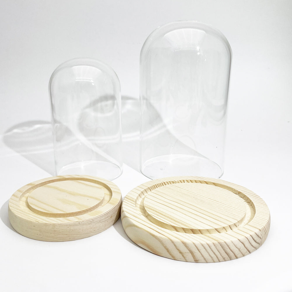 Glass dome cover with wood base for chips tree display